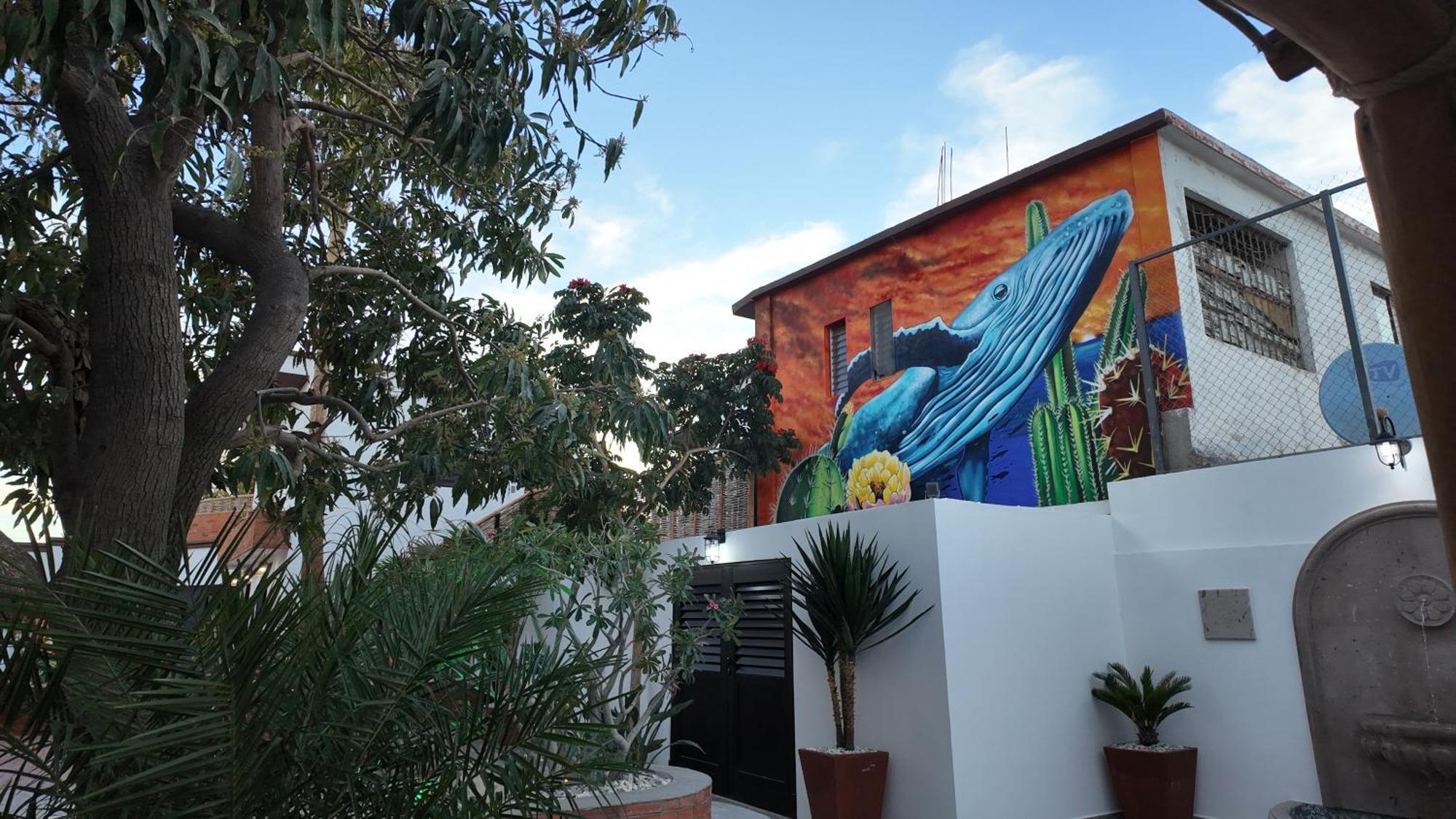 Marjor Suites La Paz Dış mekan fotoğraf